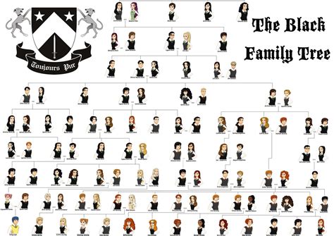 black sisters harry potter|harry potter black family tree.